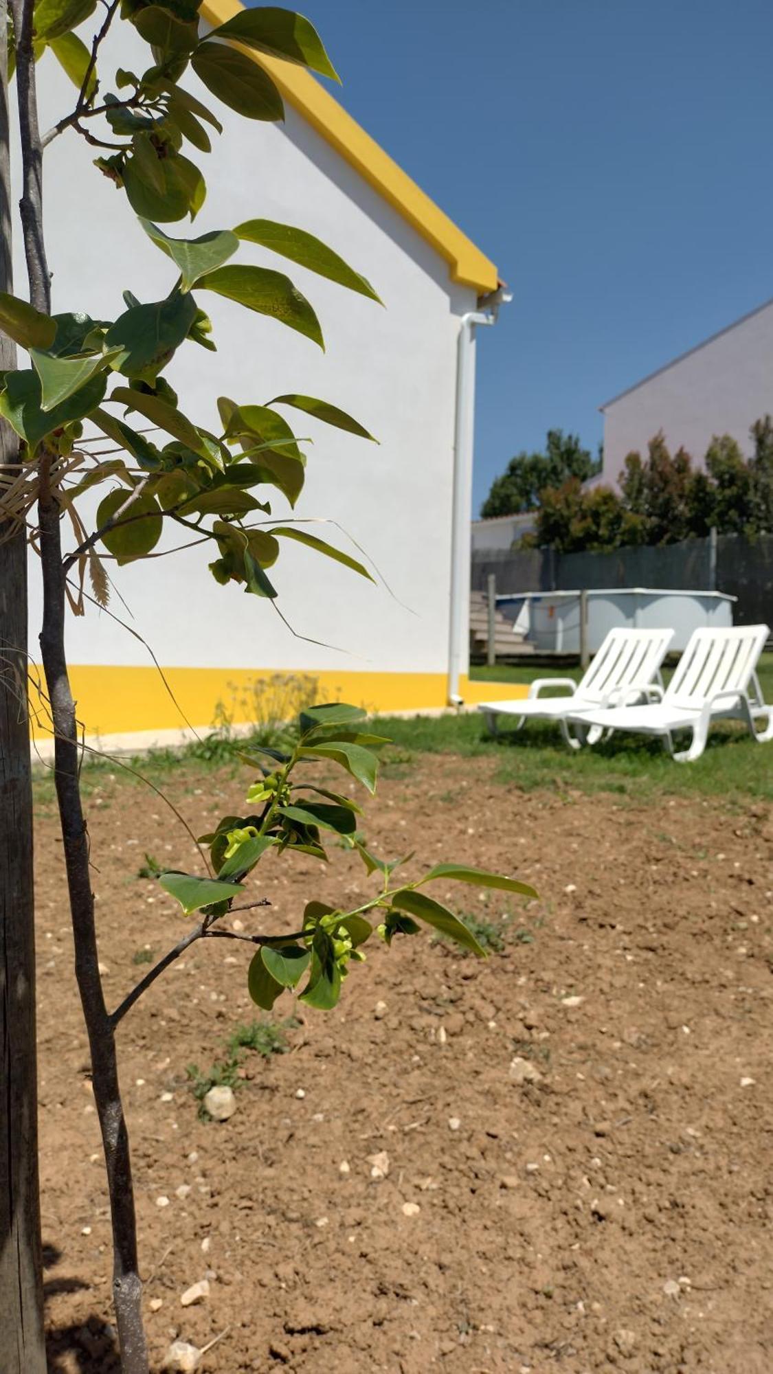 Ferienhaus Casa Da Caroleira
